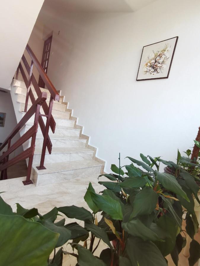 Apartment Kamen Novi Vinodolski Exterior foto